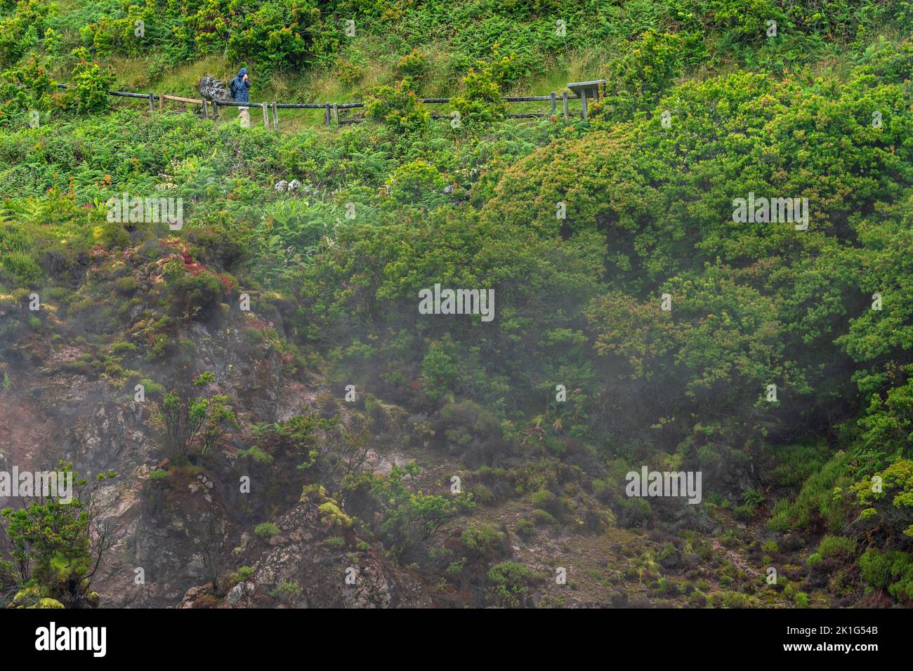 Carbon dioxide and sulfur gases vent from volcanic fumaroles in the Furnas do Enxofre nature park in Terceira Island, Azores, Portugal. The Azores are home to 26 active volcanoes, 8 of which are underwater. Stock Photo