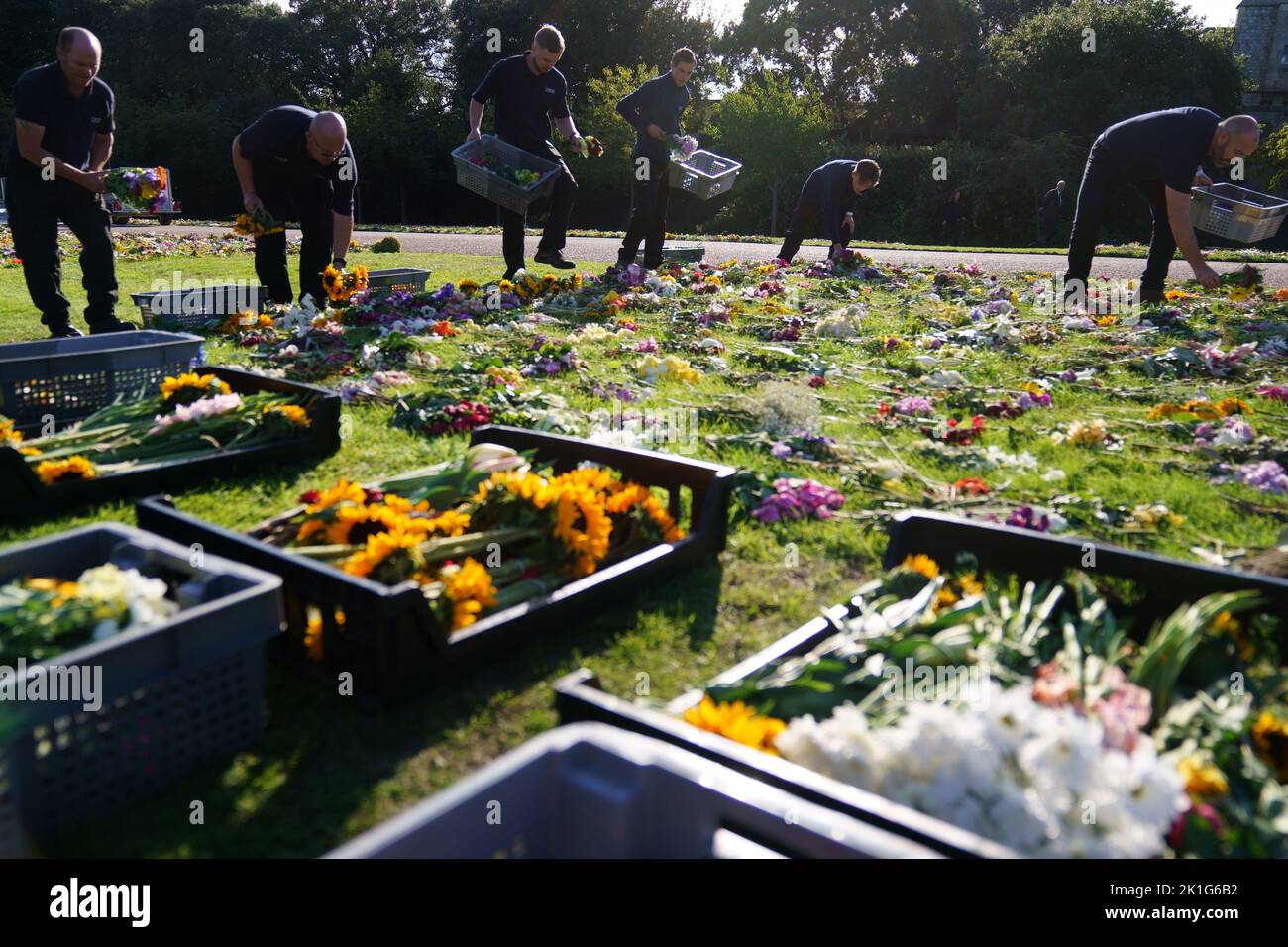 Workers from the Crown Estate move the floral tributes laid by members of the public outside Windsor Castle onto Cambridge Drive, near the Long Walk, Windsor, ahead of the funeral of Queen Elizabeth II on Monday. Picture date: Saturday September 17, 2022. Stock Photo