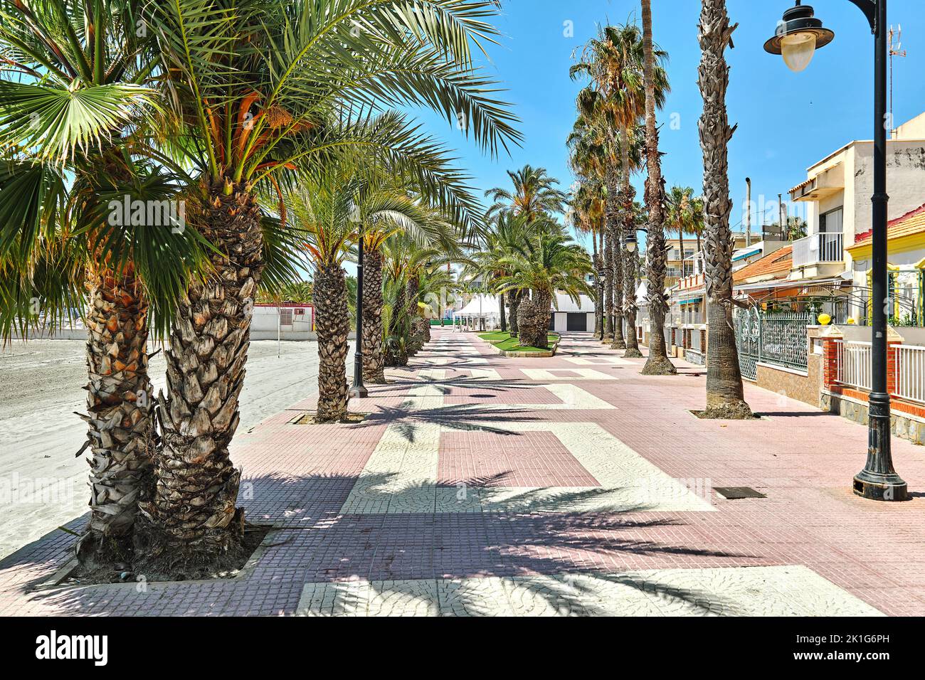 Sandy beach with palm trees and Mediterranean Sea view in the San Pedro del Pinatar, small town of Murcia, southeastern Spain Stock Photo