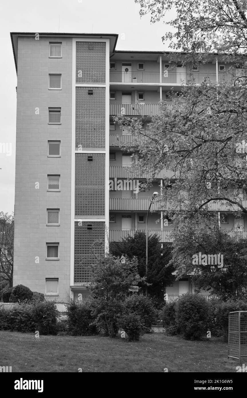 A vertical grayscale shot of a smooth building with large windows in