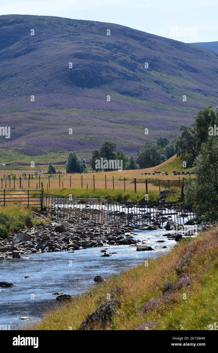 Glen Clunie near Braemar, The Cairngorms national park, Scotland Stock Photo