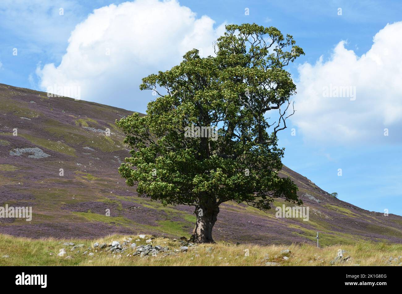 Scottish rights of way act hi-res stock photography and images - Alamy