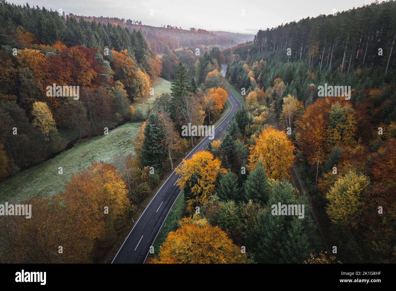 Black forest in autumn from above Stock Photo
