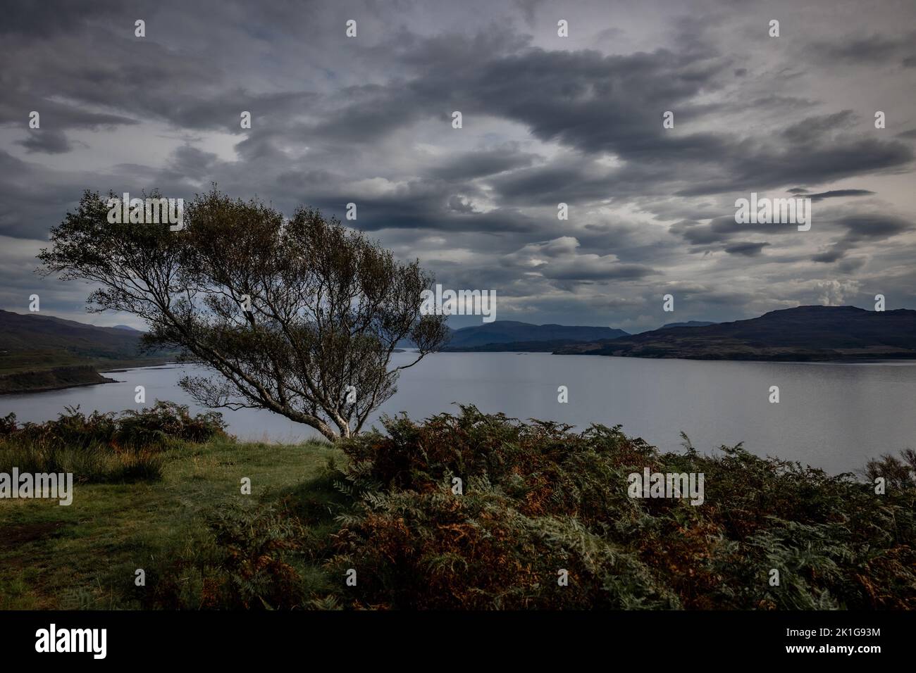 The view of a lake surrounded by greenery under the cloudy sky before ...