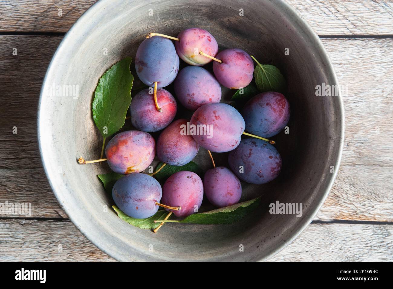 Plums in old bowl on table, harvested prunes, overhead view Stock Photo