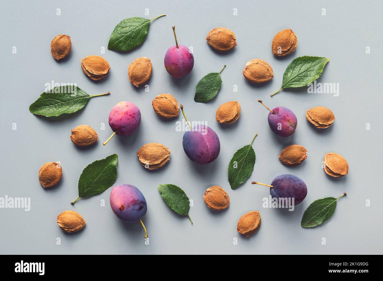 Plums seeds and leaves as fruit background pattern, autumn flat lay Stock Photo