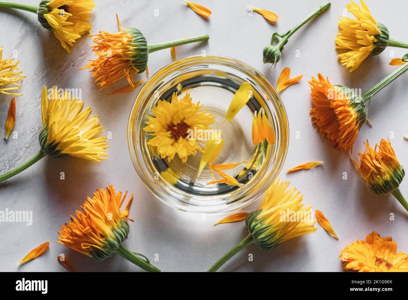 Homemade Calendula infused oil in a bowl, marigold flowers on white background, herbal medicine flat lay Stock Photo