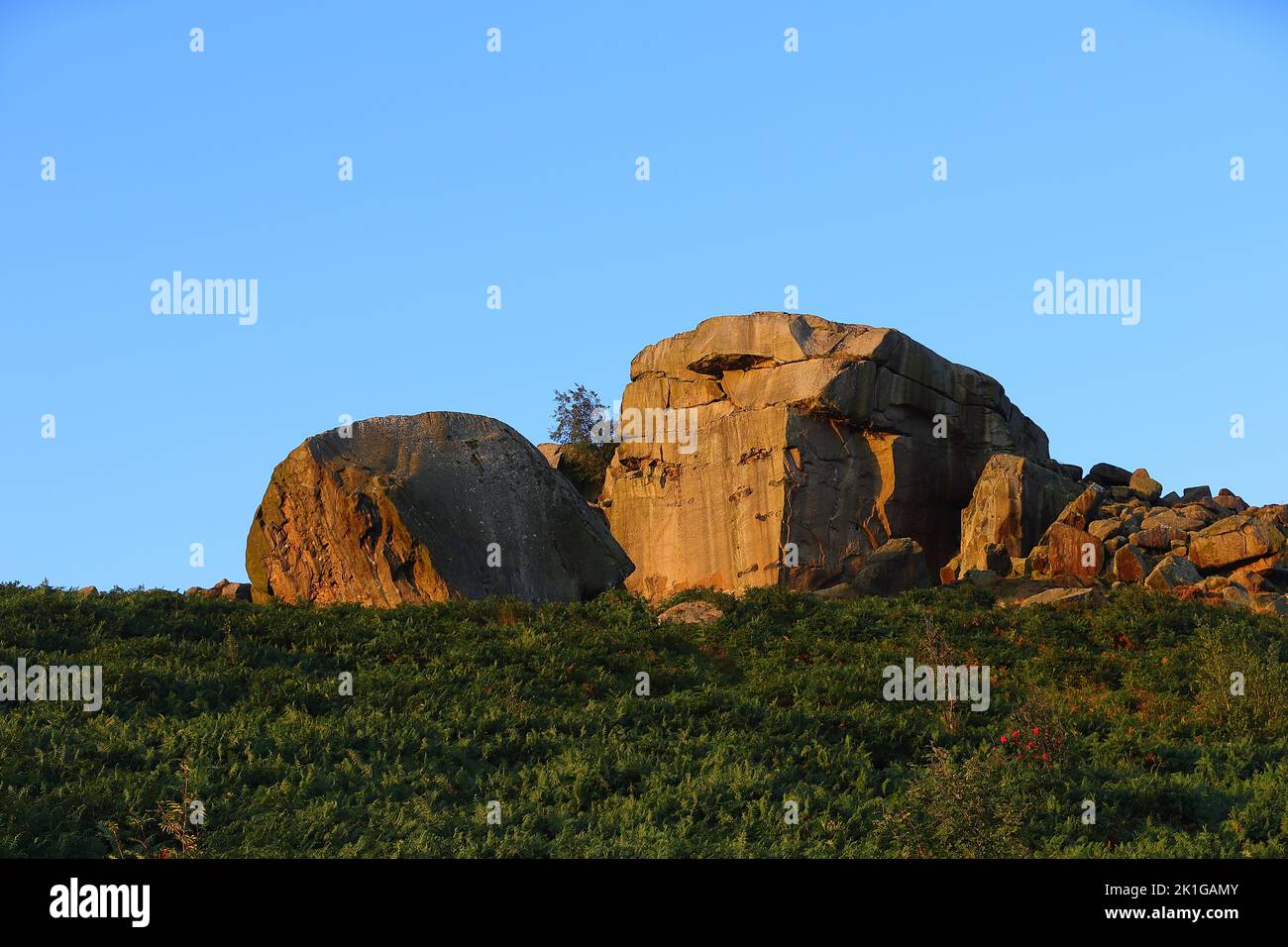 Cow & Calf Rocks on Ilkley Moor in West Yorkshire Stock Photo