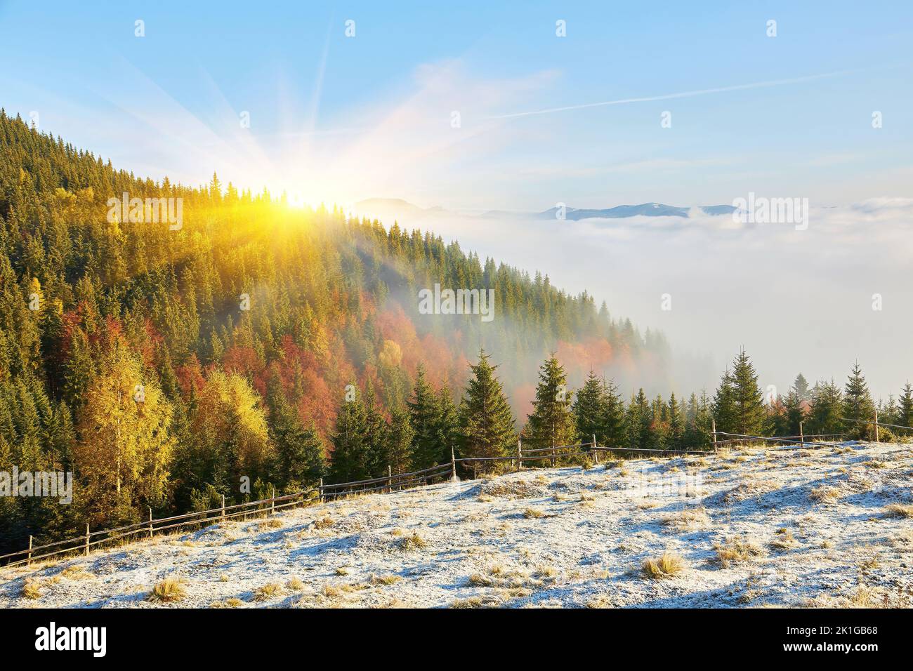 The lawn is enlightened by the sun rays. Majestic autumn rural ...
