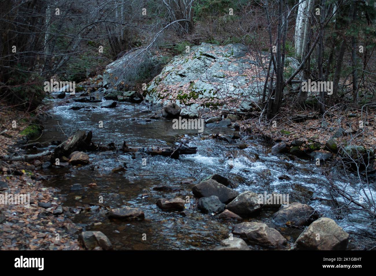 Beautiful river banks in hi-res stock photography and images - Alamy
