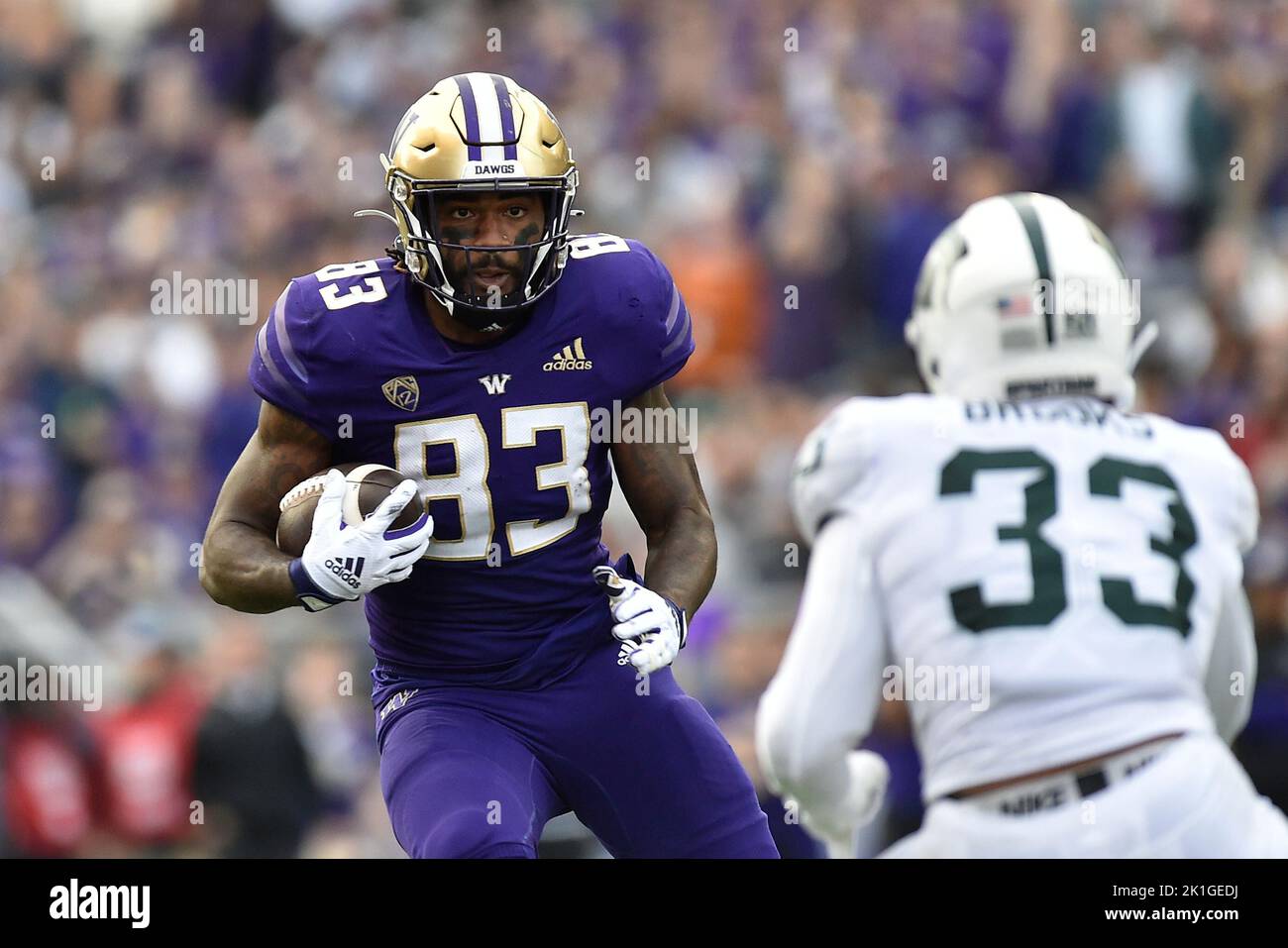 Seattle, WA, USA. 17th Sep, 2022. Washington Huskies tight end Devin Culp (83) gets yards after