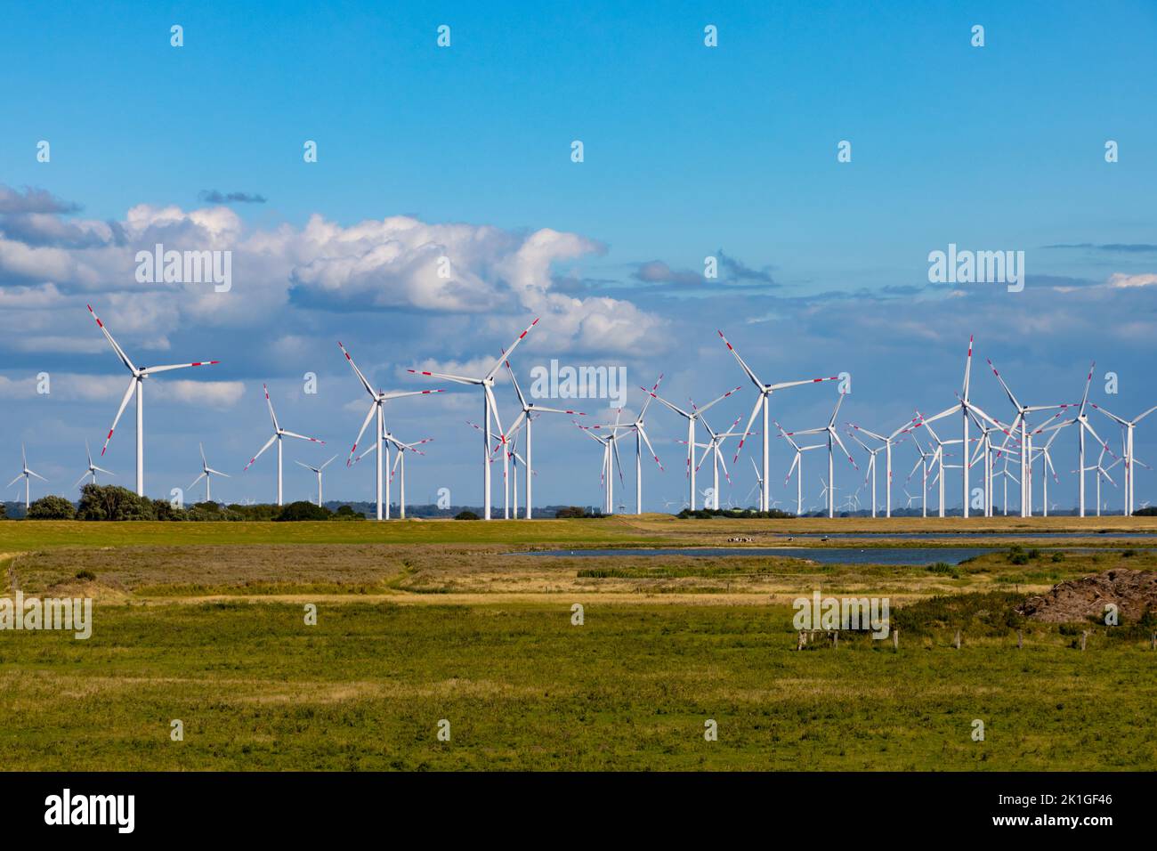 Wind farm with many wind turbines on the horizon Stock Photo