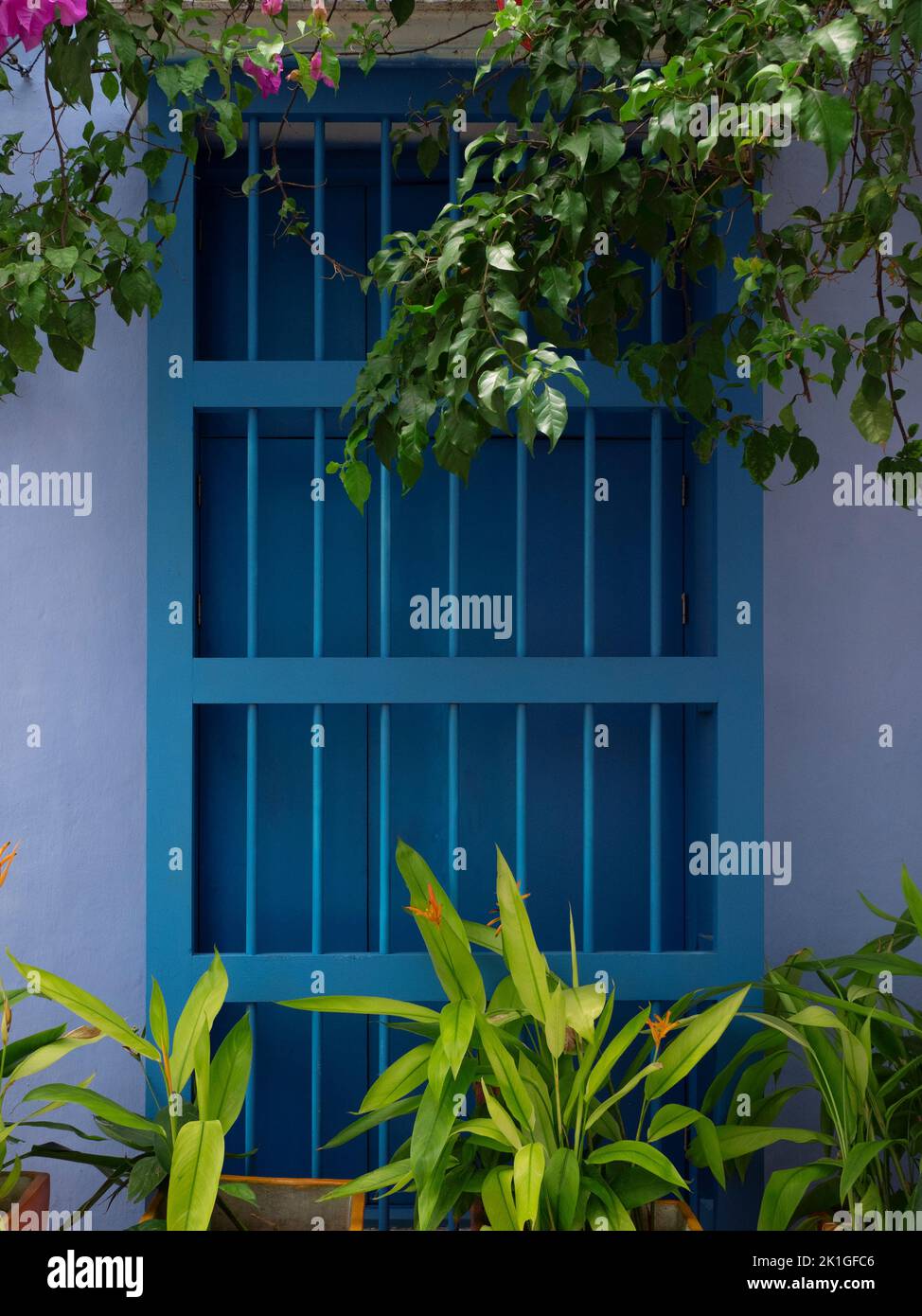 Blue window full of house plants in the caribbean. Cartagena Colombia. Stock Photo
