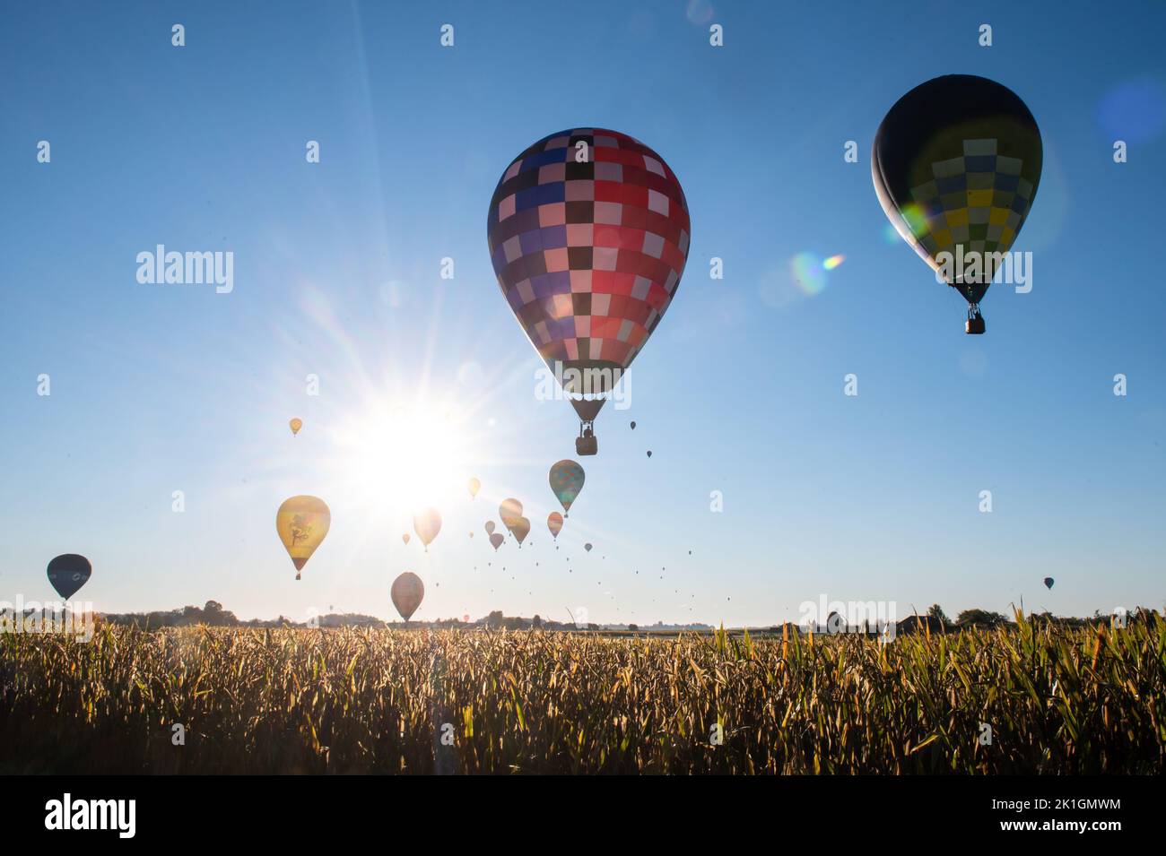 Hot air balloons seen in the sky during the 24th FAI World Hot Air