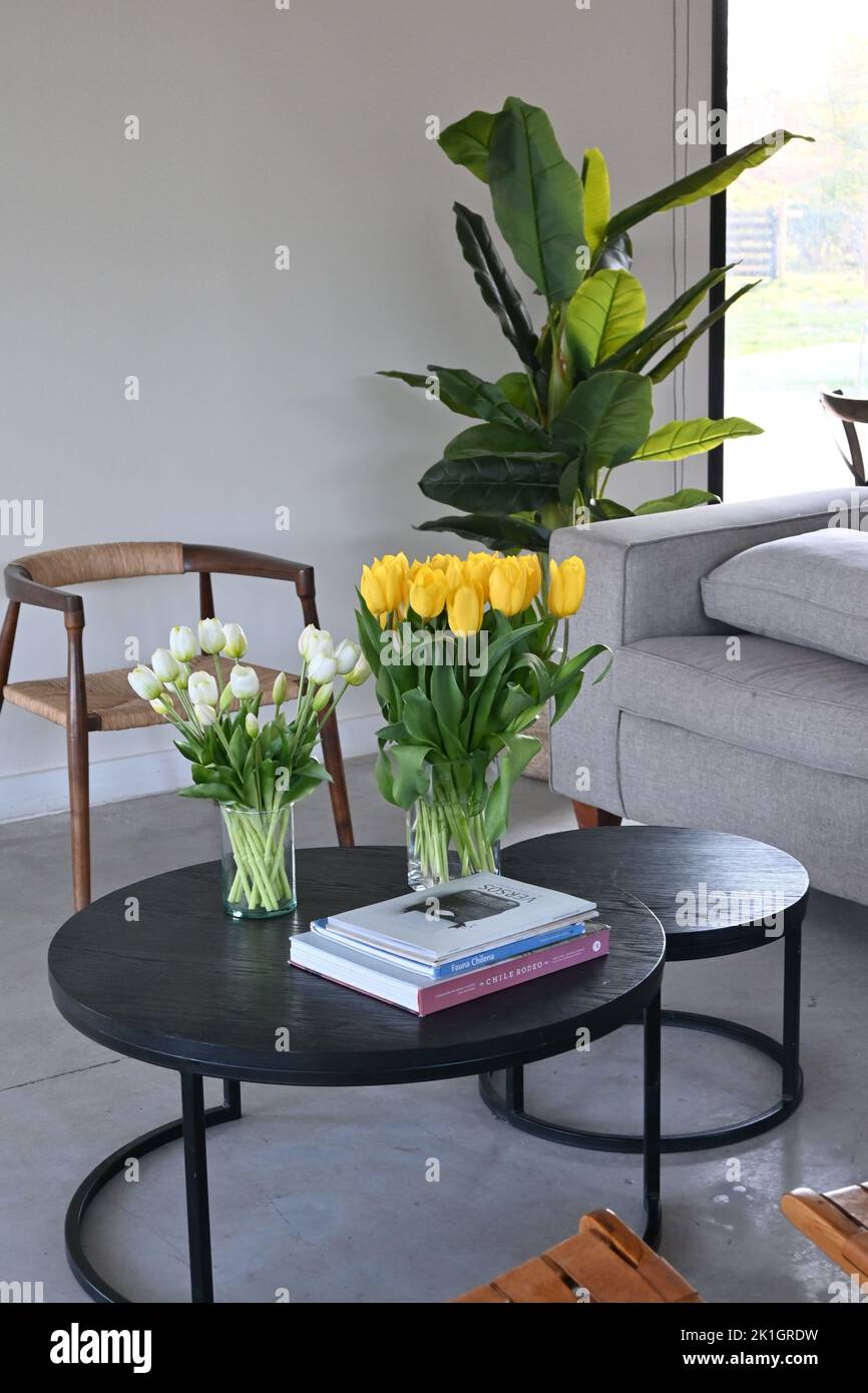 A closer look at Living Room Minimalist Decor With Flowering Plants