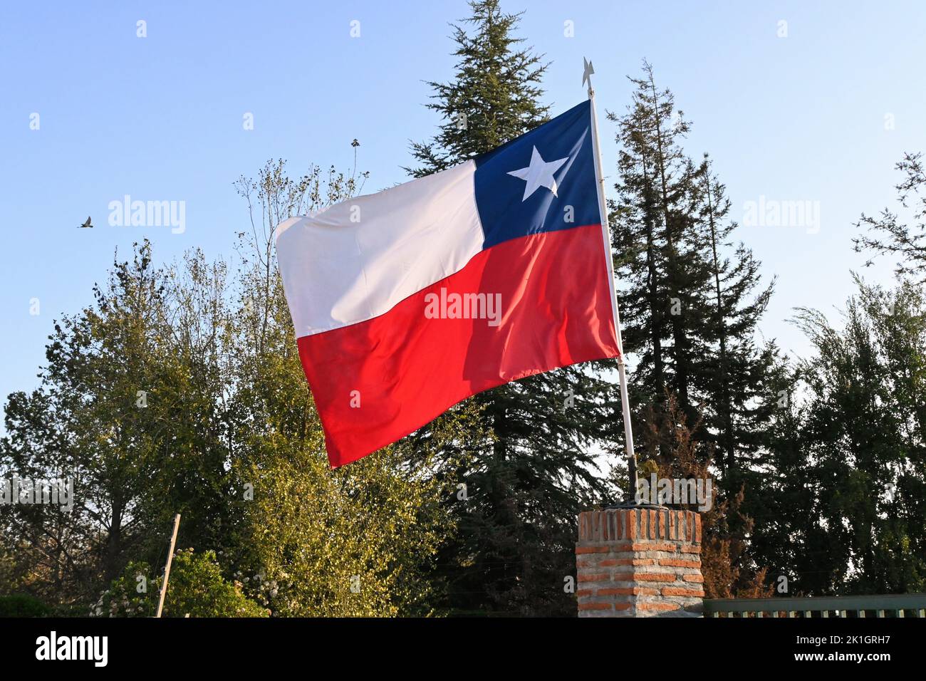 Chilean Flag Flapping In The Wind Stock Photo Alamy Chilean Flag Flapping In The Wind Stock Photo Alamy