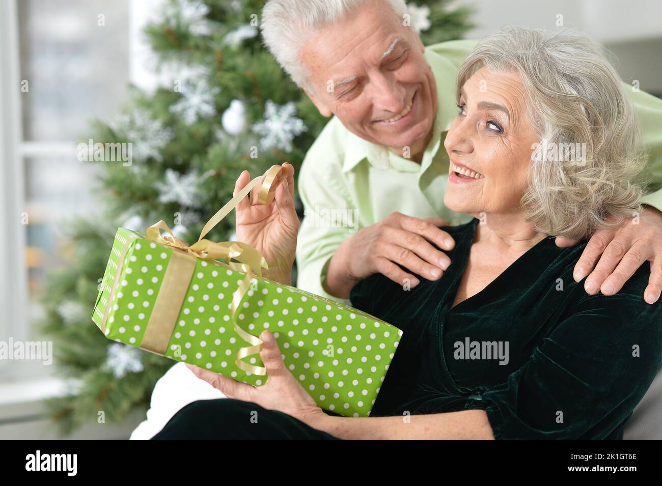 Beautiful elderly couple celebrating new year together  Stock Photo