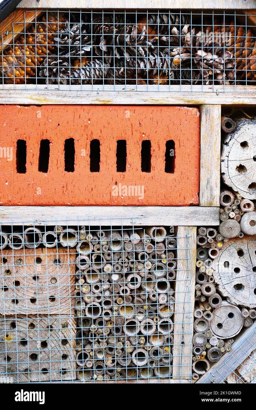 insect hotel. wooden insect house hanging from tree Stock Photo Alamy