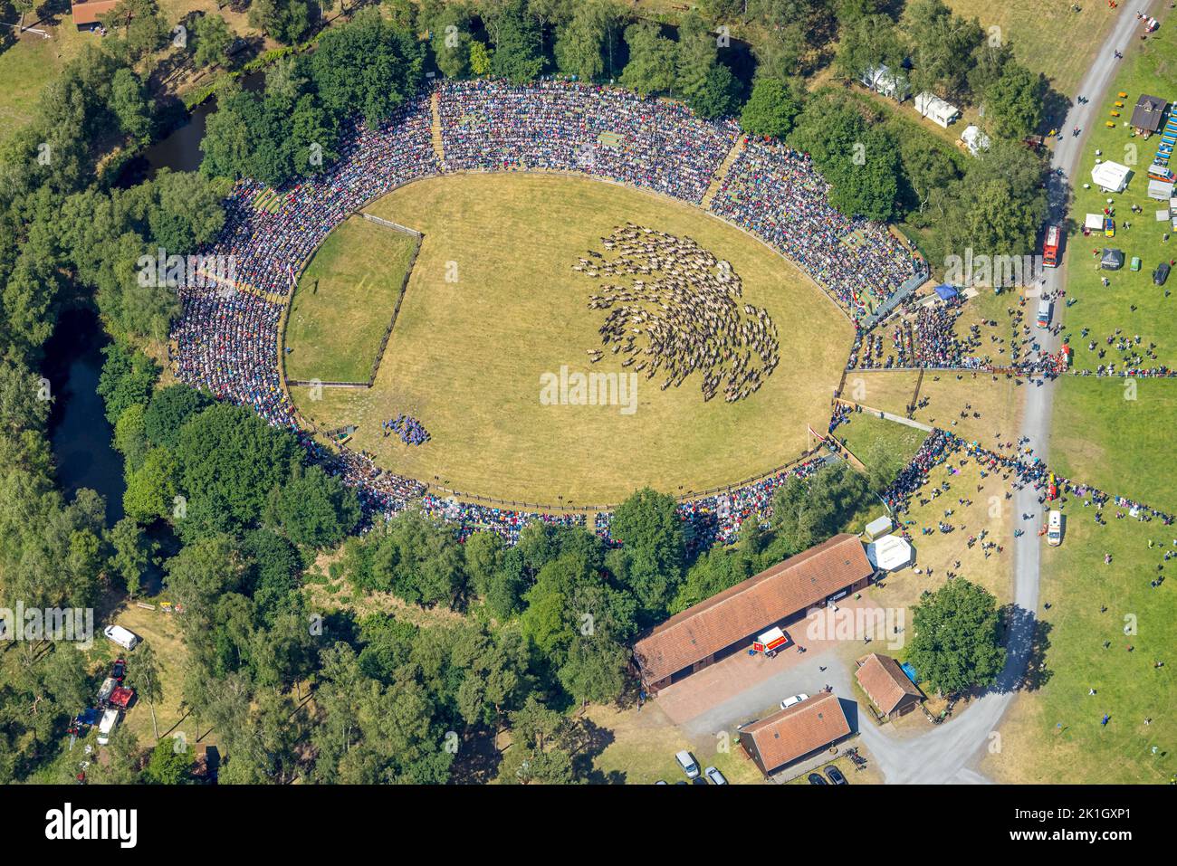 Aerial view, wild horse catch in Merfelder Bruch near Dülmen, arena of wild horse track, Dukes