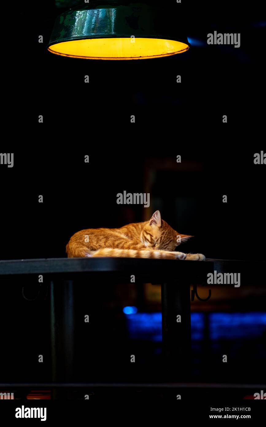 untroubled on the spotlight Stock Photo