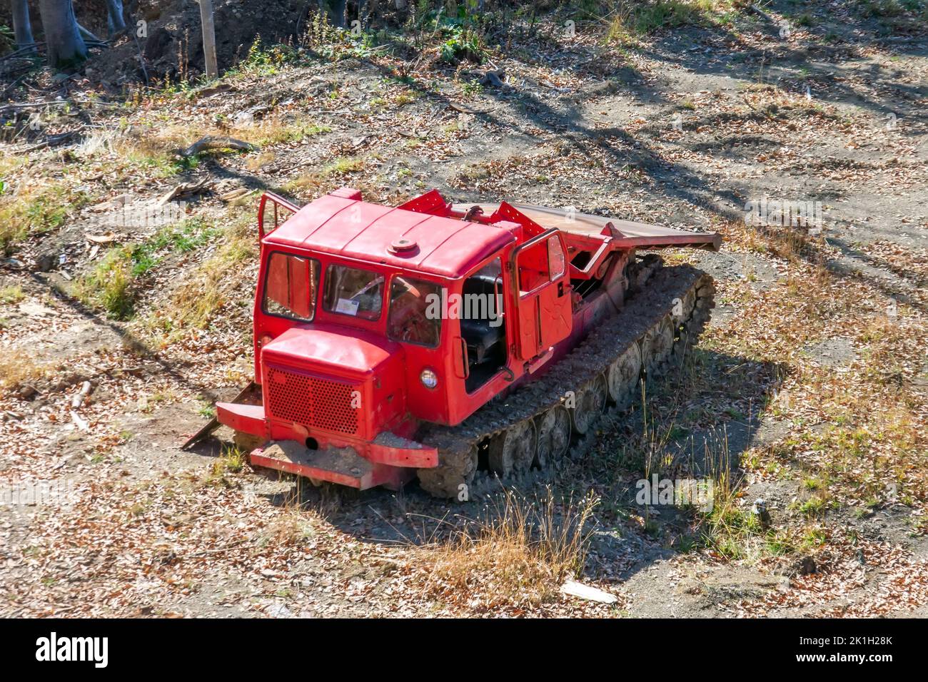 Red caterpillar tractor tractor in the forest on clearing the trail for road construction Stock Photo