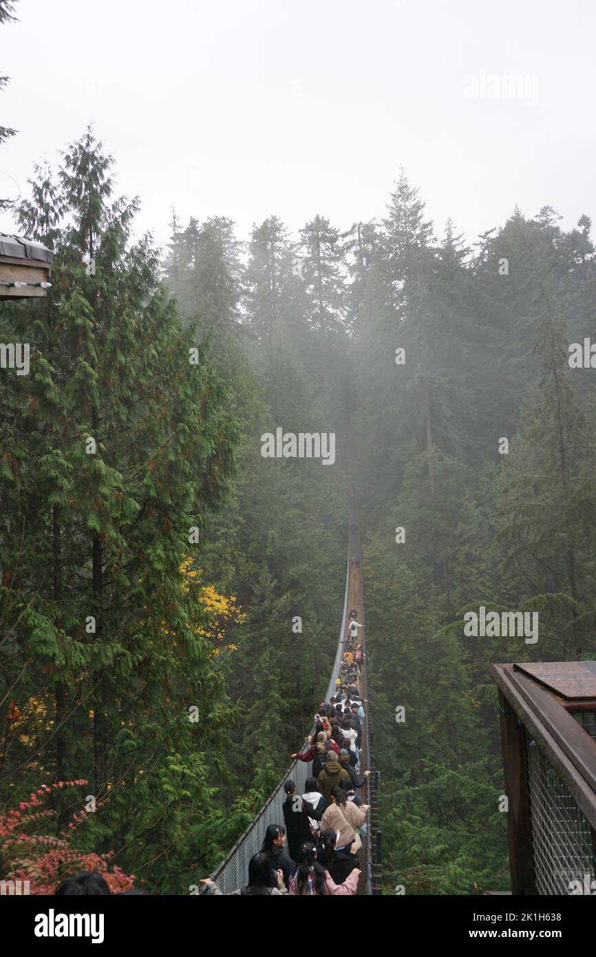 A vertical shot of the Capilano suspension bridge park Stock Photo
