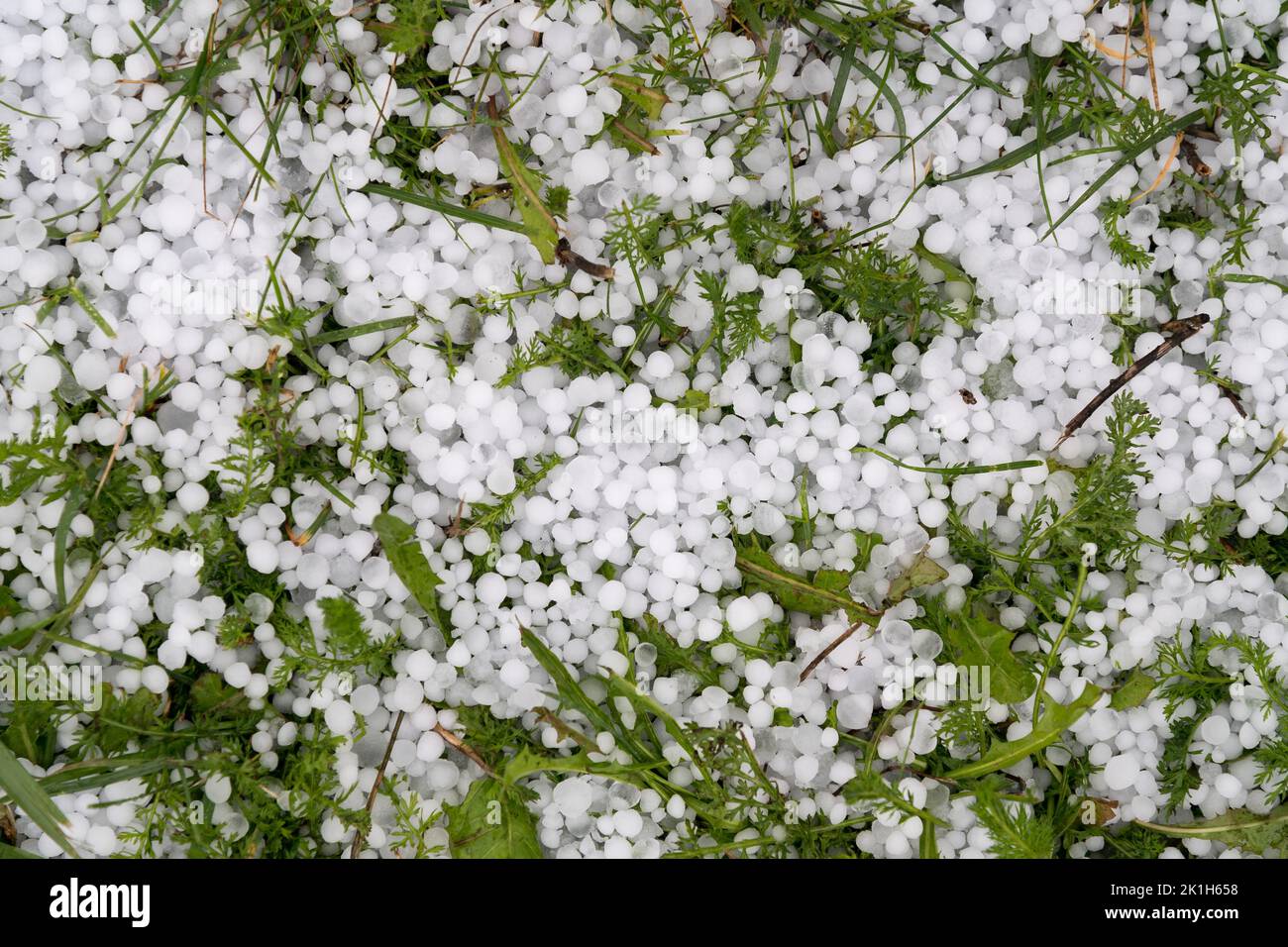 Accumulated hail hires stock photography and