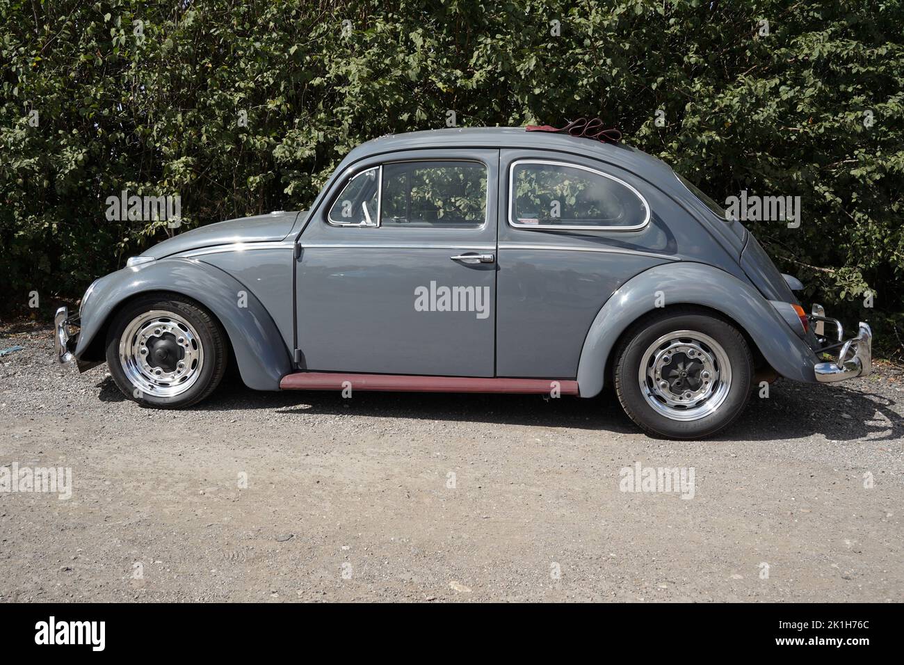 Exeter, UK-August 2022: Vokswagen Beetle (der Kafer), at a classic car show at Greendale Farm near Exeter Stock Photo