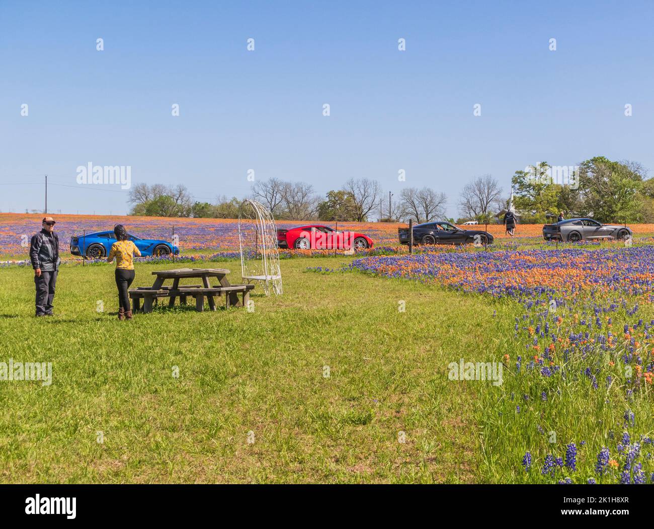Tourists and Fields of Texas wildflowers in April near Whitehall, Texas. Stock Photo