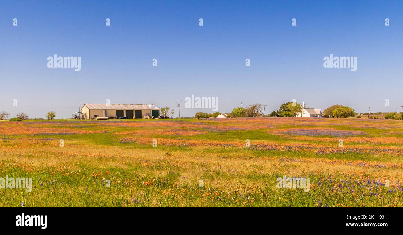 Salem Lutheran Church with Texas Bluebonnets and Texas Indian Paintbrush wildflowers in Whitehall, Texas. Stock Photo