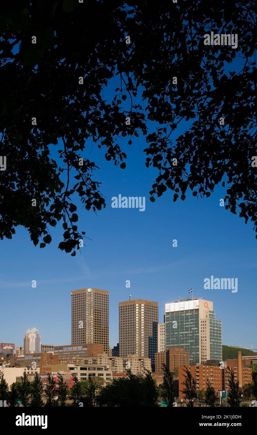 Complexe Desjardins and Hydro Quebec buildings framed through