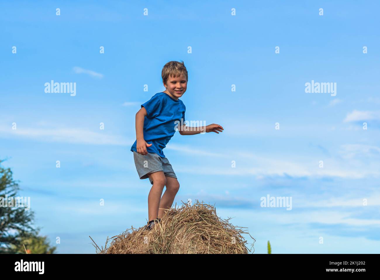 Boy smile play dance grimace show off blue t-shirt stand on haystack bales of dry grass, clear sky sunny day. Balance training. Concept happy Stock Photo