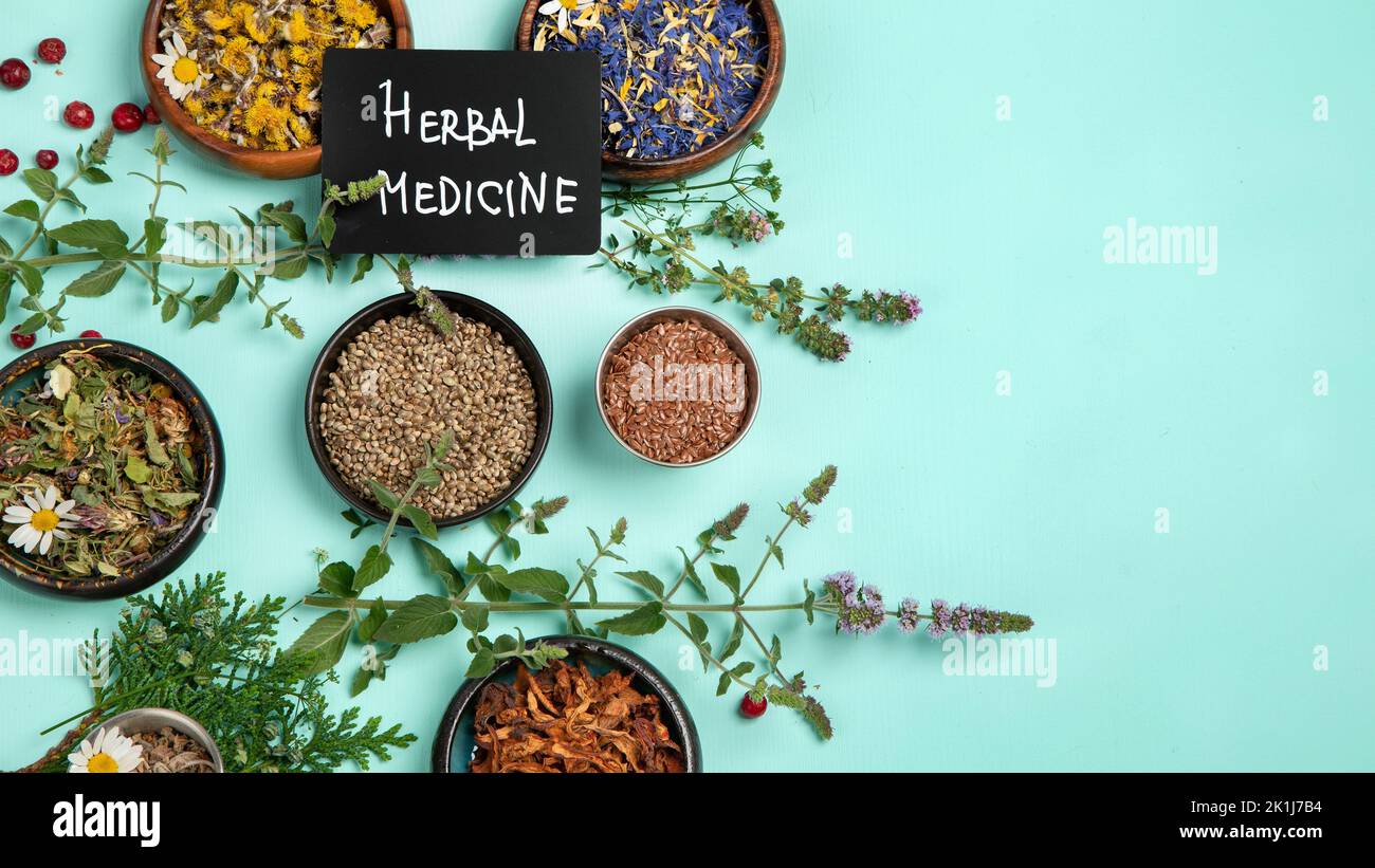 Alternative herbal medicine on green background. Homeopatic flower and herbs remedies. Top view, copy space Stock Photo