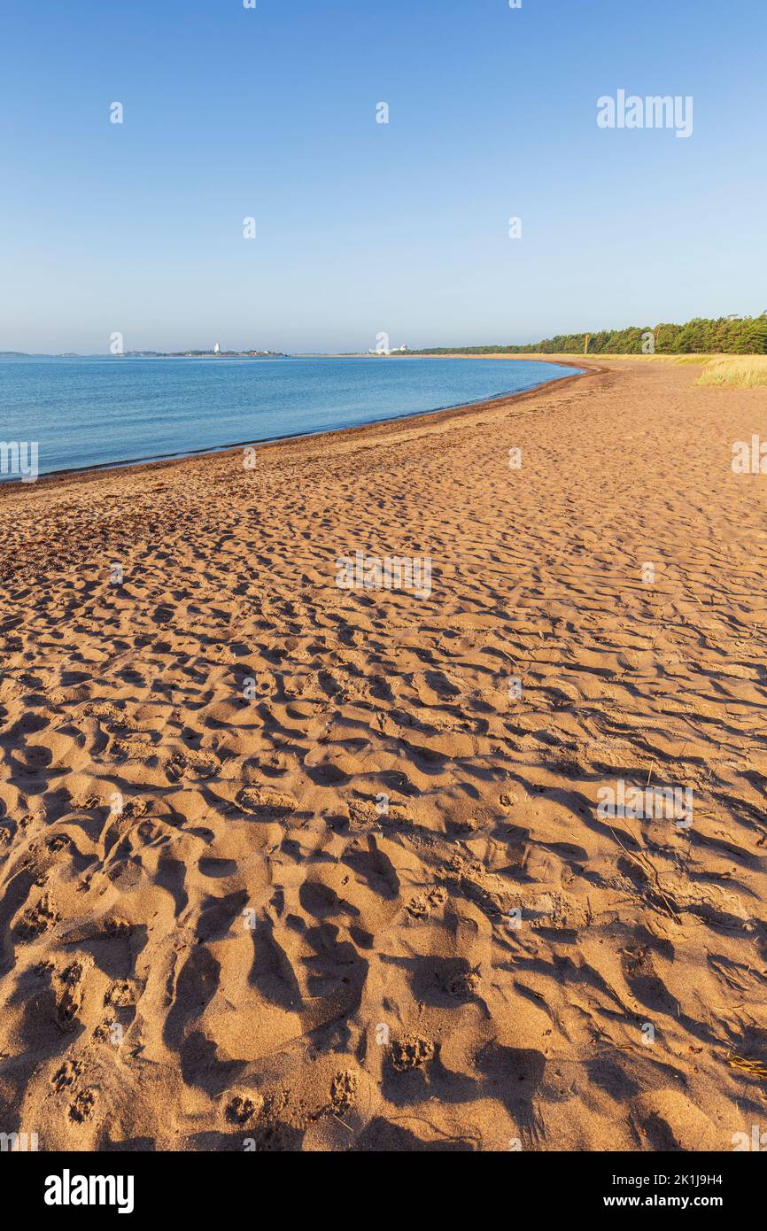 Empty and sandy Tulliniemi beach in Hanko, Finland, at a sunny morning in the summer. Stock Photo