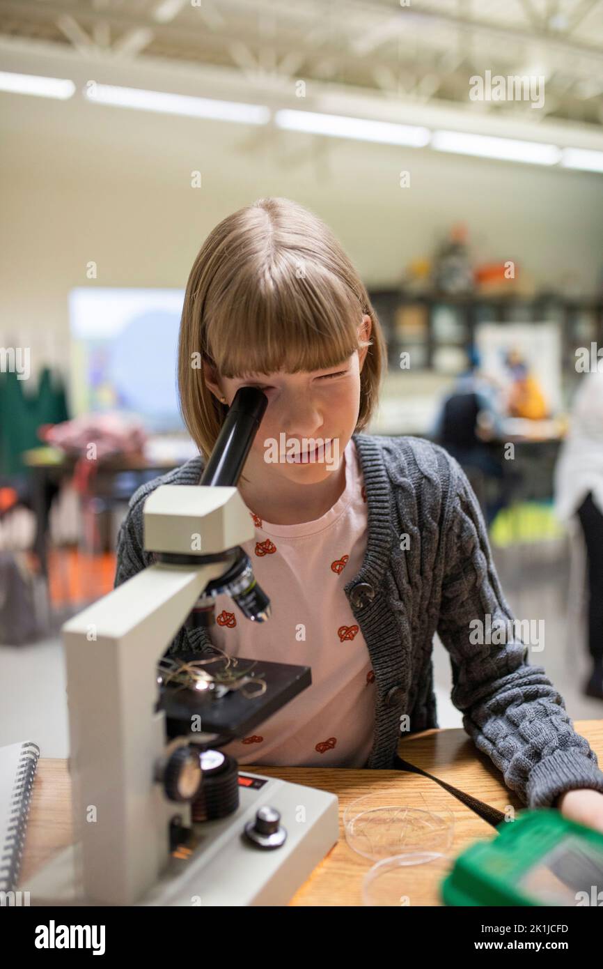 Junior high girl student using microscope in science classroom Stock