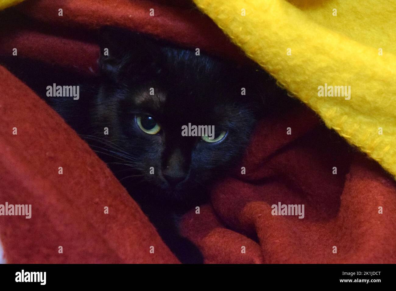 Safety blankets hires stock photography and images Alamy