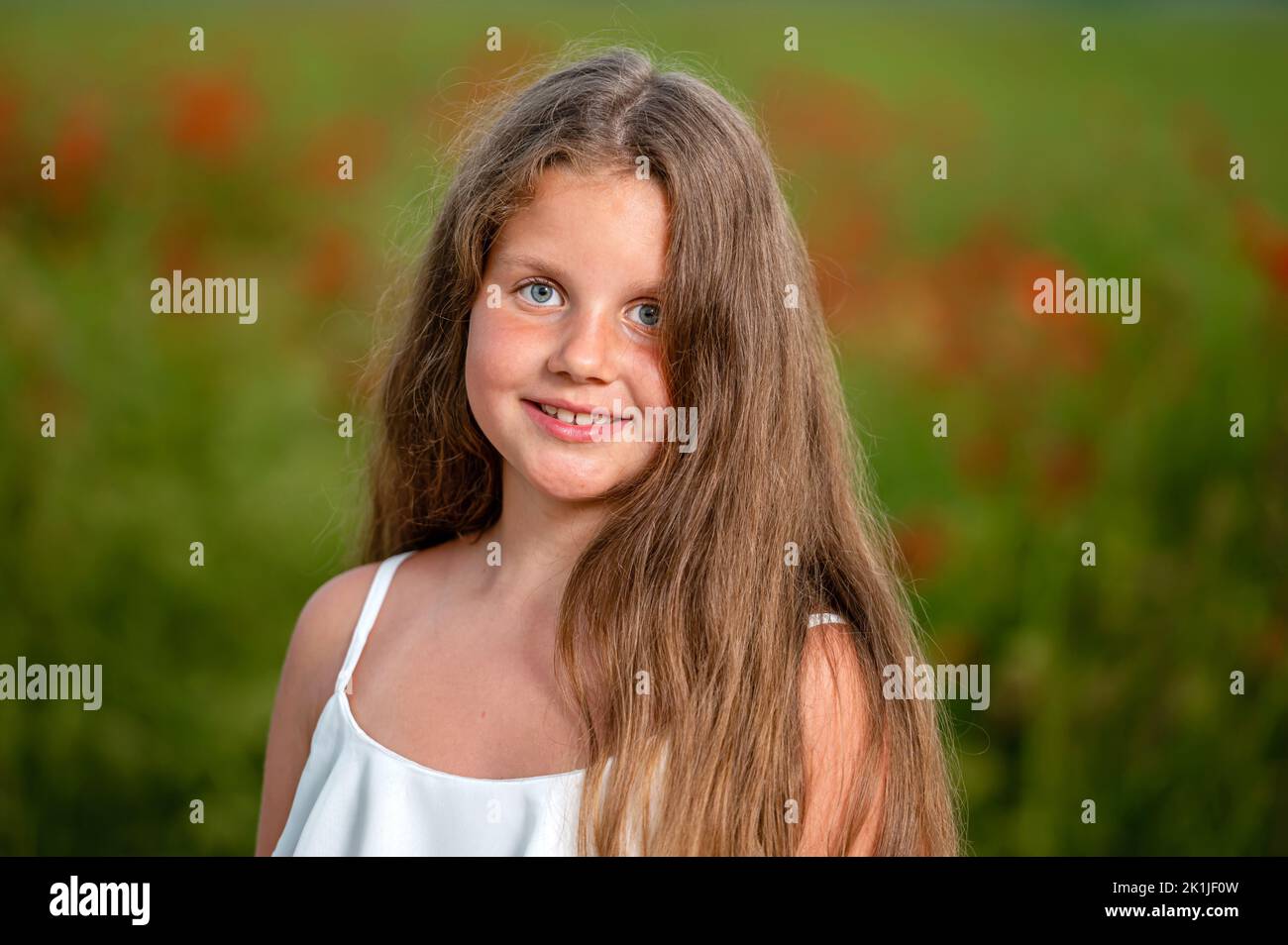 portrait of a little girl against the background of a field of poppies in the evening sunlight Stock Photo