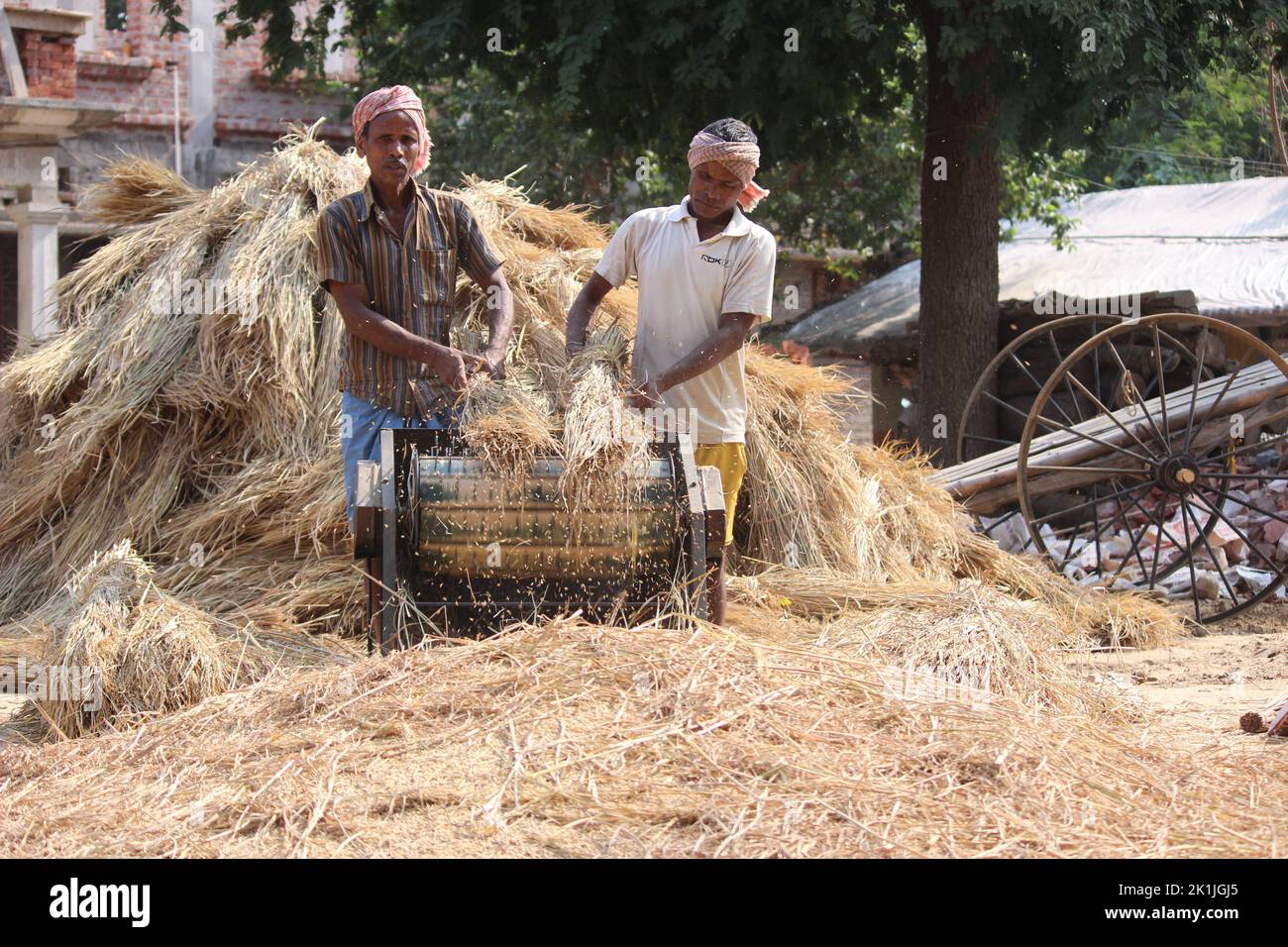 A view of Indian men working with rice thresher in village Stock Photo