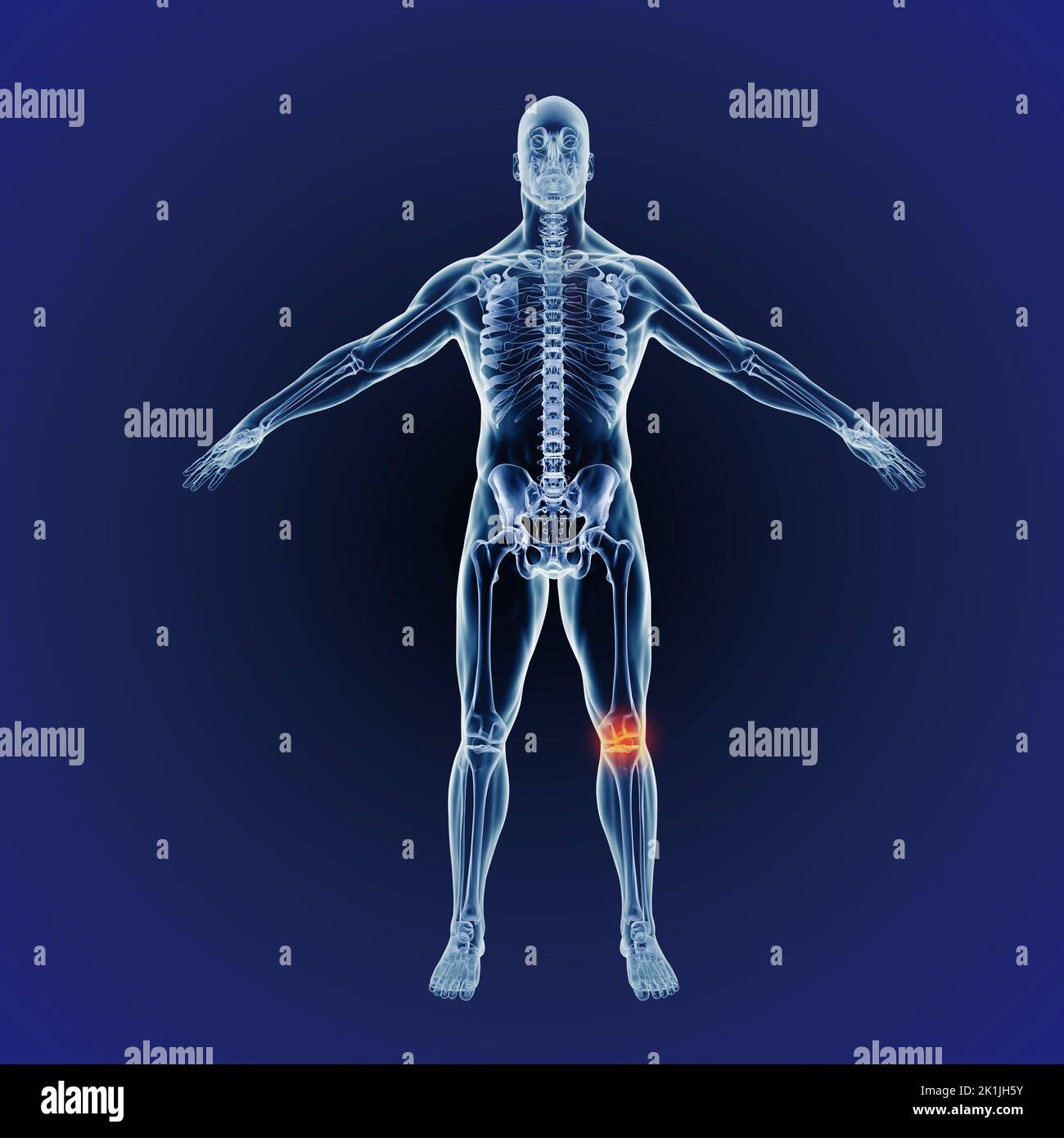 Human body representation hi-res stock photography and images - Alamy