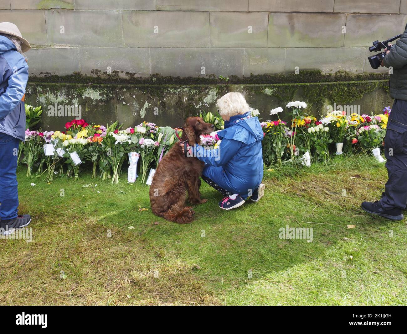 A child with her dog laying flowers for the queen at the Palace of Holyrood house in Edinburgh, Scotland Stock Photo