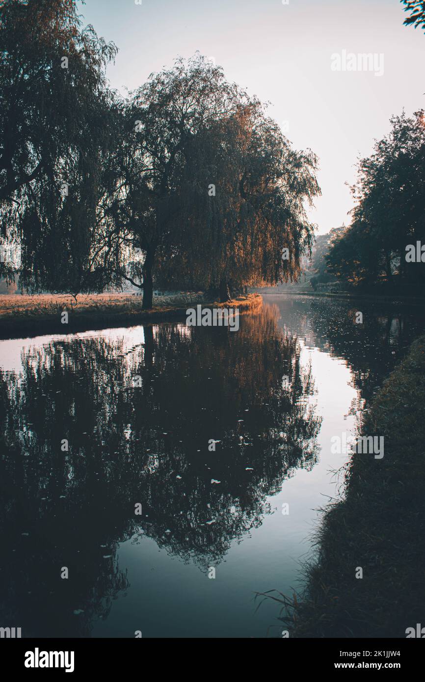 A beautiful reflection of trees on a water surface Stock Photo - Alamy