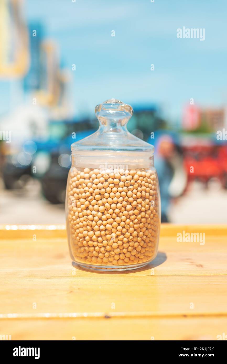 Soybean grain in a jar on traditional agricultural fair, selective focus Stock Photo