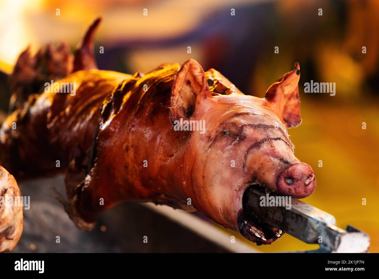 Whole pig spit roasted on traditional festival in Serbia, selective focus Stock Photo