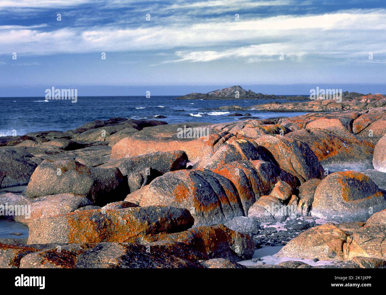 Lichen on coastal rocks, Stumpy Bay,  Tasmania,  Australia Stock Photo