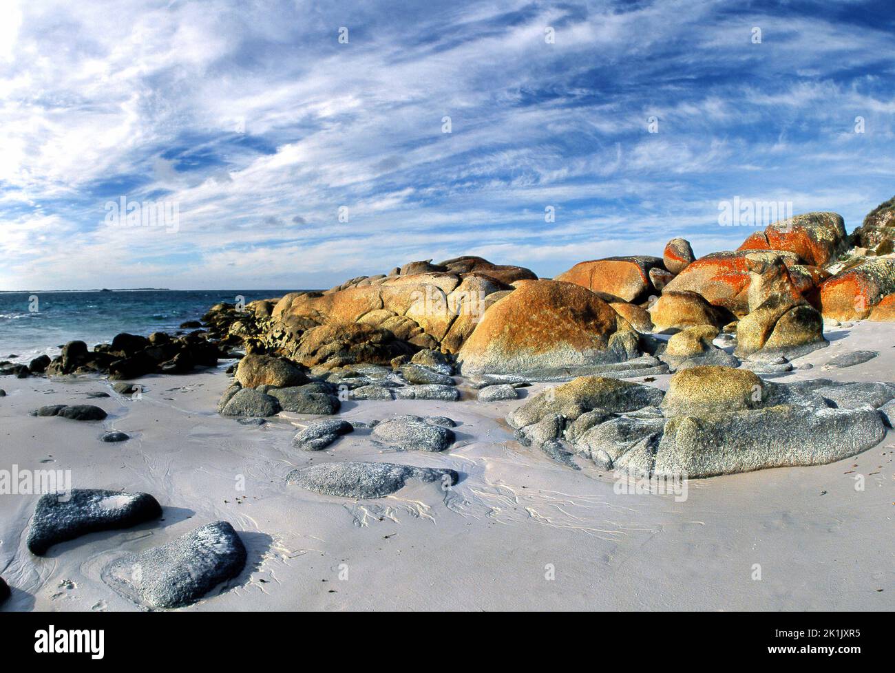 Lichen on coastal rocks, Stumpy Bay,  Tasmania,  Australia Stock Photo
