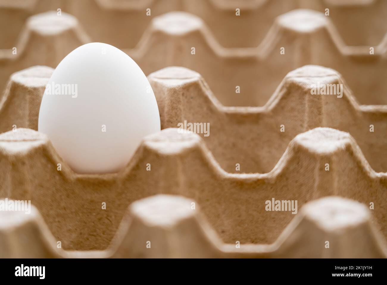 Close up view of white egg in recyclable cardboard tray Stock Photo Alamy