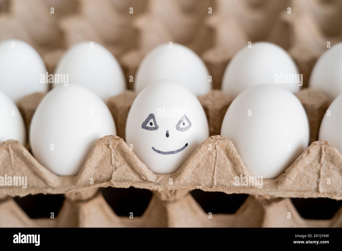 Painted chicken egg in blurred cardboard tray Stock Photo