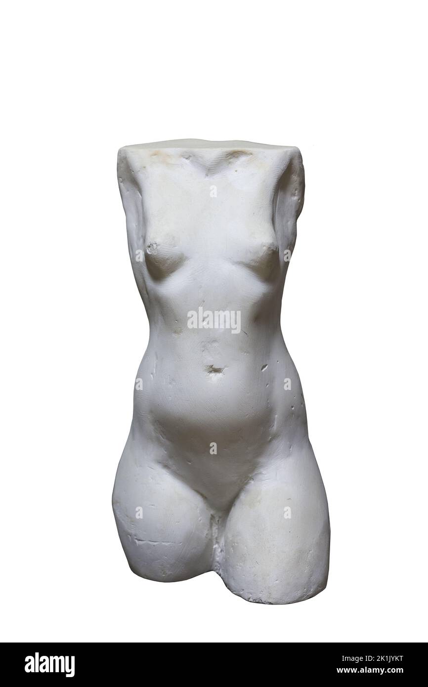 Model of torso cast in plaster Stock Photo