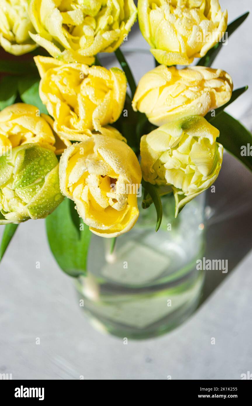 Beautiful vase yellow tulips hi-res stock photography and images - Alamy