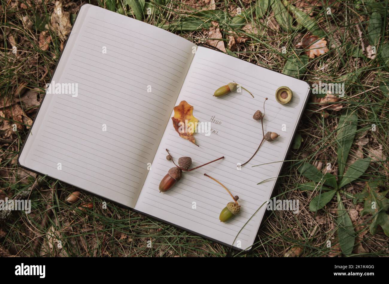 Diary journal scrapbook hi-res stock photography and images - Alamy